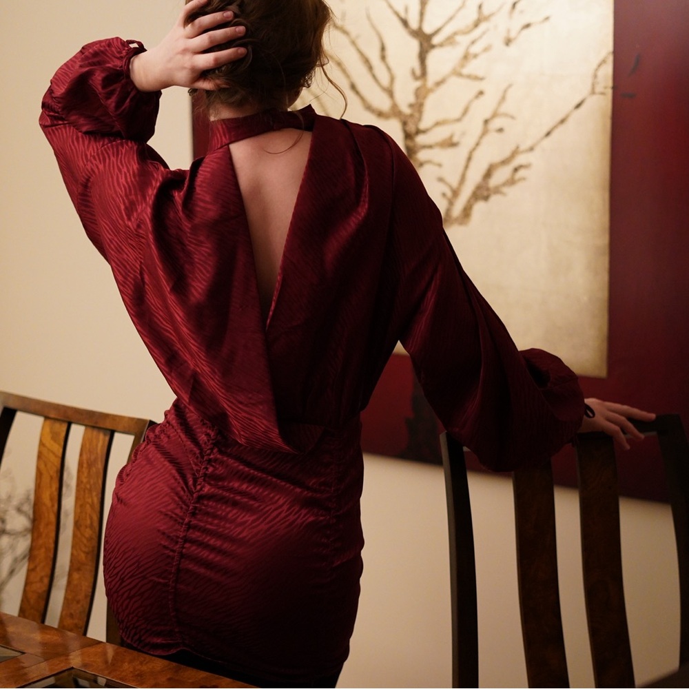 Elegant Burgundy Zara Dress